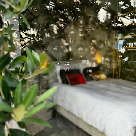 Daen'S Greenhouse أوترخت المظهر الخارجي الصورة