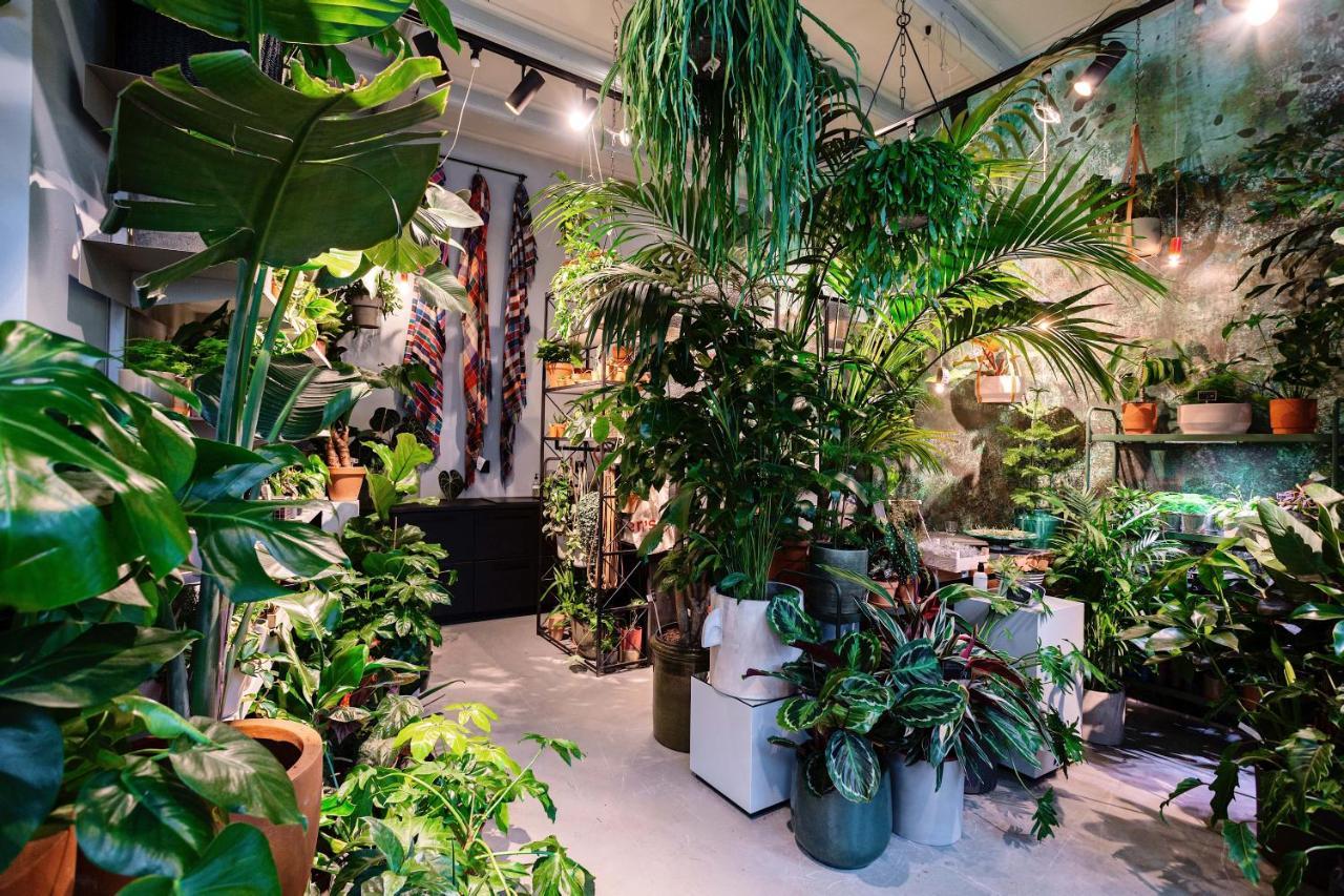 Daen'S Greenhouse أوترخت المظهر الخارجي الصورة